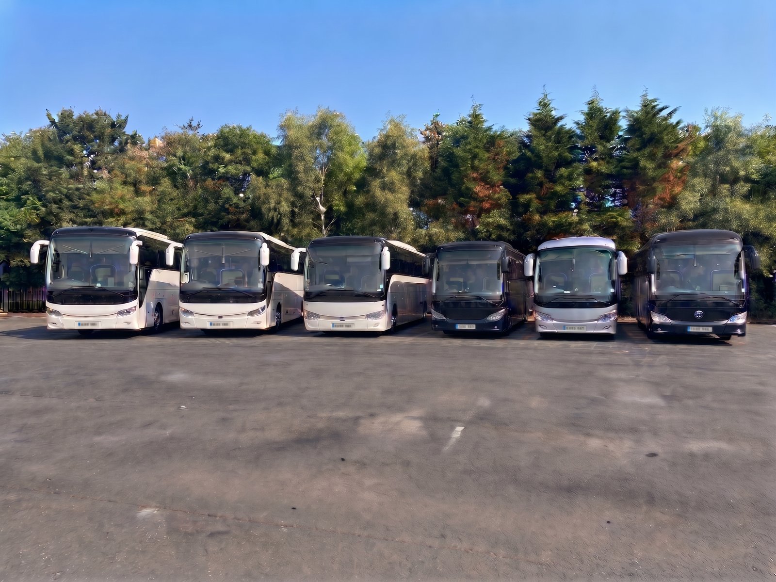Executive Coach Travels fleet of minibuses and coaches lined up